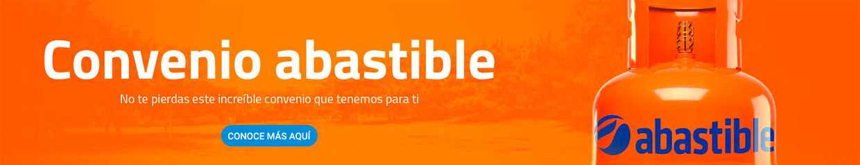 Abastible