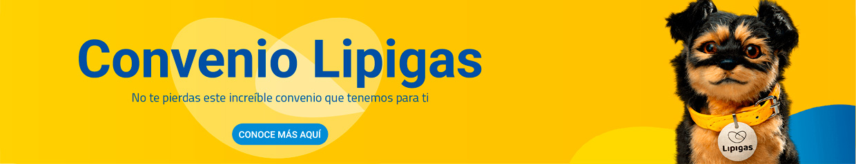 Lipigas